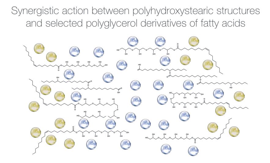 Technical brochure PolyAquol_-VO4